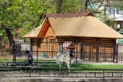 c_180_120_16777215_00_images_uploads_glavnaya_nov-k-i-obl_zoopark-otkrytie-sezona-2014_8.JPG