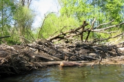 Сплав по рекам калининградской области, фото 3