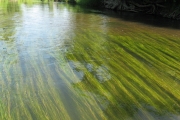 Сплав по рекам калининградской области, фото 19