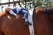 Верховая езда и конный спорт в Калининградской области фото 6