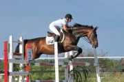 Верховая езда и конный спорт в Калининградской области фото 9