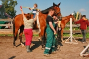 Верховая езда и конный спорт в Калининградской области фото 12