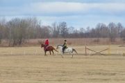 Верховая езда и конный спорт в Калининградской области фото 18