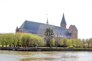 Кафедральный собор в Калининграде. Фото 7