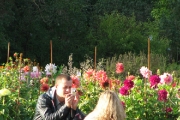 Калининградский ботанический сад - цветы