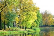 красивые и романтические места Калининграда озеро Хлебное фото 4