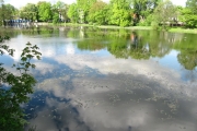 красивые и романтические места Калининграда озеро Хлебное фото 7