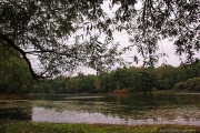 Озеро в Колосовке Калининградской области