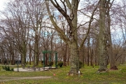 Парк Беккера в Янтарном, деревья
