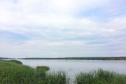 Река Неман в Калининградской области