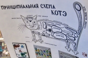 Зеленоградск, музей кошек, фото 6