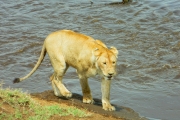 Танзания фото 2