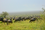 Танзания фото 3