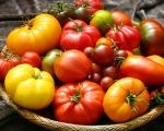 c_180_120_16777215_00_images_uploads_spravochnik_dacha-sad-ogorod_tomat-pomidor_1.jpg