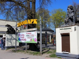 c_260_195_16777215_00_images_uploads_glavnaya_nov-k-i-obl_v-zooparke-obnovyat-skulptury.jpg