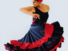 c_260_195_16777215_00_images_uploads_glavnaya_nov-za_festival-flamenko.jpg
