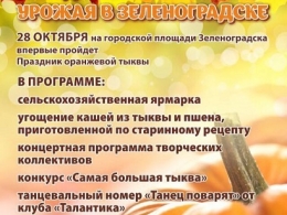 c_260_195_16777215_00_images_uploads_glavnaya_press-reliz_prazdnik-urozhaya-v-zelenogradske.jpg