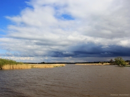 Река Дейма в Калининградской области