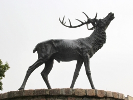 Статуя оленя, Знаменск-Велау