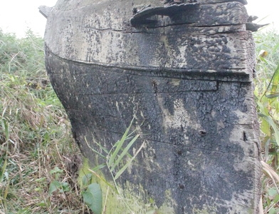 Фрагмент судна рейзенкан, обнаруженный на Балтийской косе