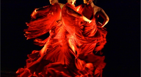 c_550_300_16777215_00_images_uploads_glavnaya_press-reliz_prostranstvo-flamenko.jpg